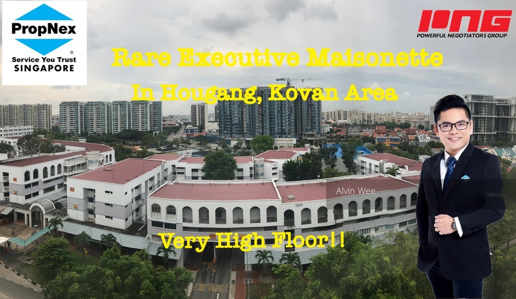 Blk 230 Hougang Avenue 1 (Hougang), HDB Executive #182660472